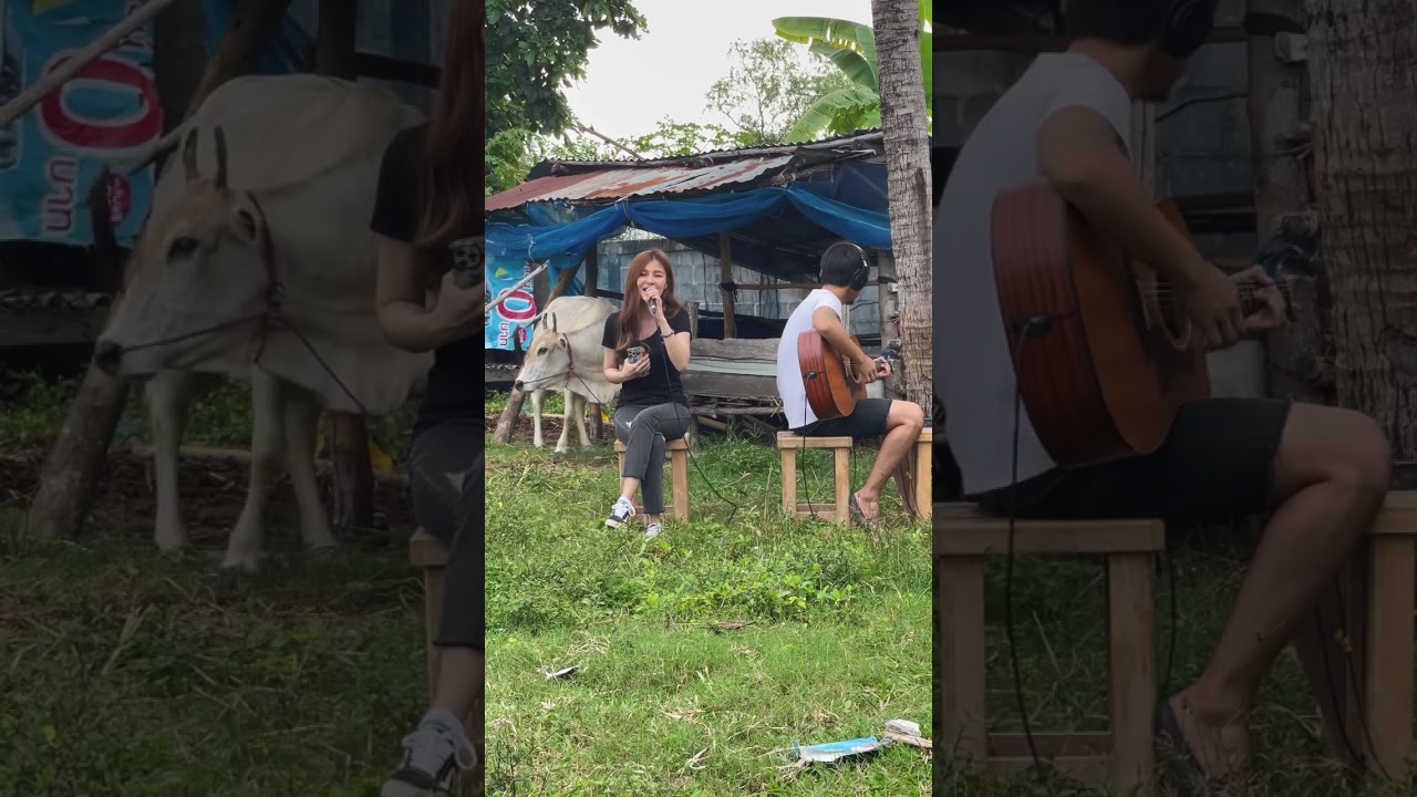 กรุณาอย่าเผลอใจ - สายแนน โพธิ์งาม