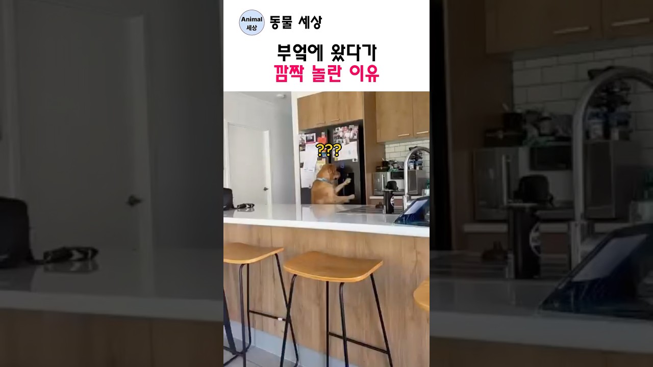 부엌에 왔다가 깜짝 놀란 이유