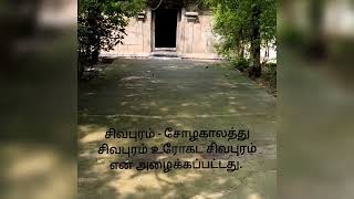 Video Download