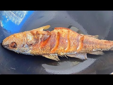 How to Pan-Fry Fish Without Sticking to the Pan ❗😋 a simple affordable and delicious dish❗Addictive❗