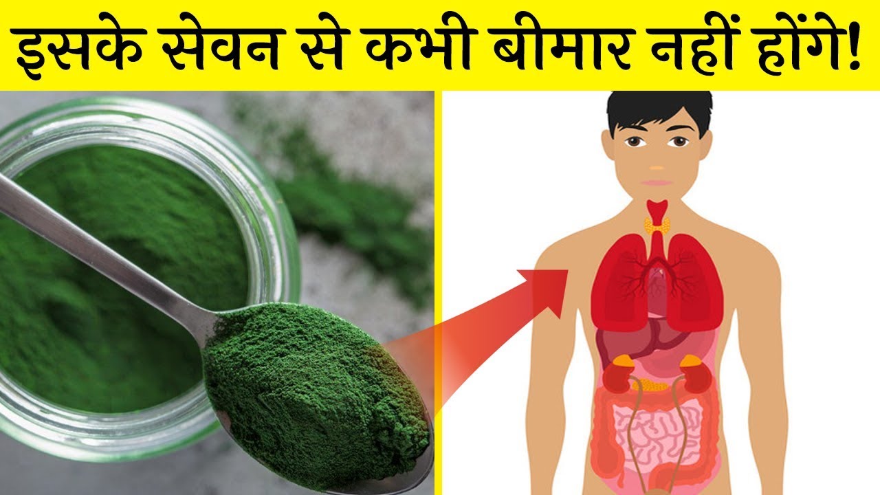 रोजाना इसके सेवन से शरीर उम्र भर स्वस्थ रहेगा। Spirulina benefits in