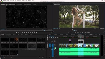 Tutorial: How to use mDust 4K in Adobe Premiere Pro
