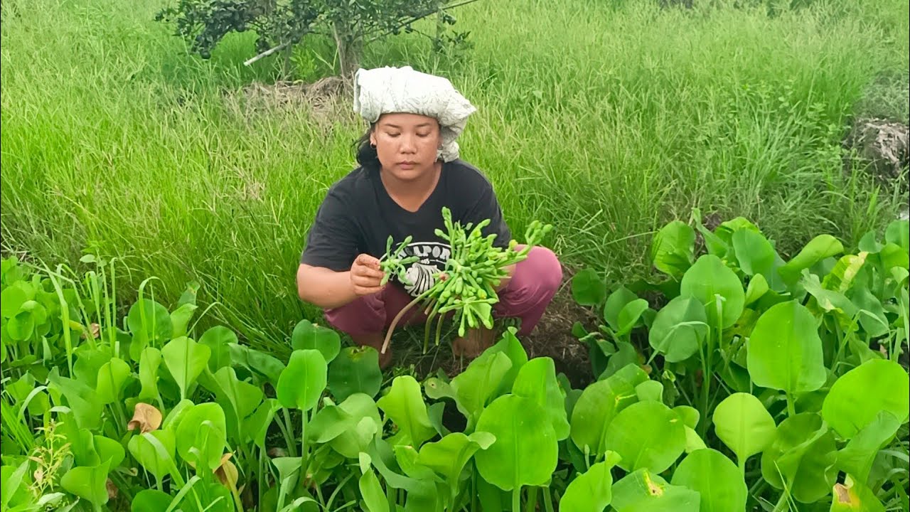Berburu ikan dan sayur rejeki tak terduga dapat buah buahan lagi 