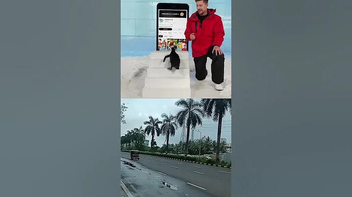 Can we teach a penguin to subscribe. #mrbeastshorts #mrbeast #shortvideo