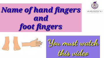 Fingers name | Let