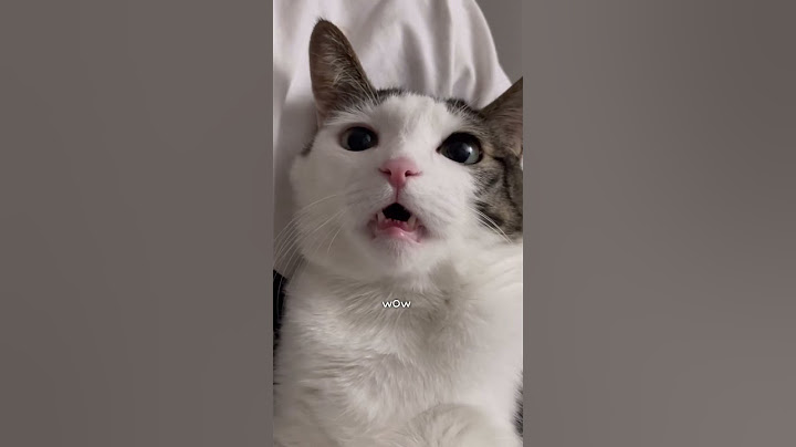 안녕안녕함