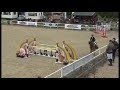 Chepstow CSI** 2016 - CSI2* Small Tour 1.35m Grand Prix