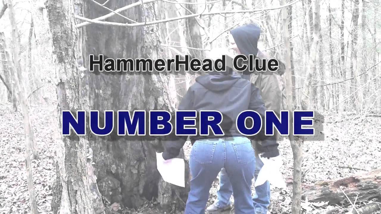 End Of Days HammerHead Hunt Clue 1 YouTube