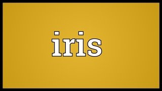 Iris - Wiktionary, the free dictionary