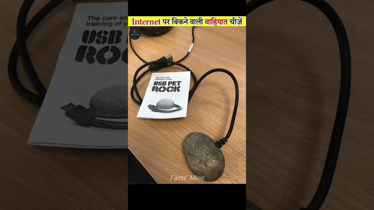 Weird Things That Are Sold On The Internet 