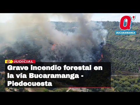 Incendio forestal alertó a la población este sábado en el sector de Ruitoque