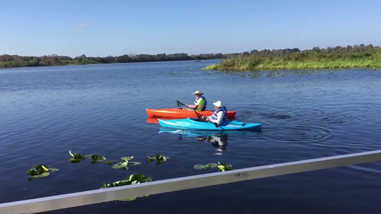 KAYAKING AT JIGGS LANDING, BRADENTON, FL YouTube