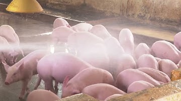 Xã Quảng Oai nâng cao giá trị sản xuất nông nghiệp