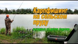 Дикий водоем. Ловля карпа.