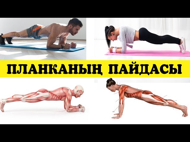 Бакудегі жезөкшелердің телефондары