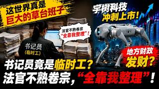 🔥惊爆国人大律师爆料!书记员竟是临时工?法官不熟卷宗,“全靠我整理”!宇树科技上市地方财政发财?这背后到底啥逻辑?