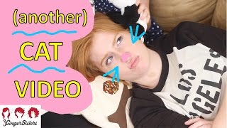 Viral Cat Video 3 Ginger Sisters