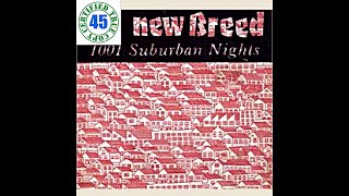 THE NEW BREED - 1,001 SUBURBAN NIGHTS - Perform (1984) HiDef :: SOTW #323