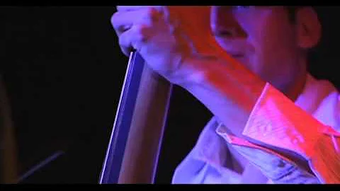 Ben Allison Band Performing Fred