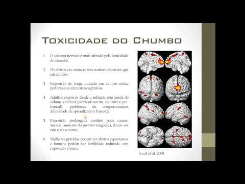 Breve Vídeo sobre a Toxicidade do Chumbo