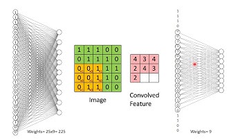 Convolutional Neural Networks + Neuroscience Assignment