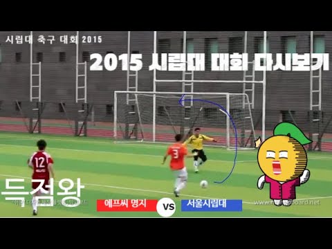 2016 시립대배 우승영상 모음, 골장면 스페셜