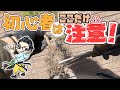 【初心者必見】黒松ミニ盆栽の植え替え。失敗しない基本と注意点