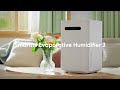 Xiaomi smartmi evaporative humidifier 3  4k