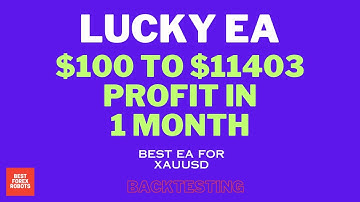 Lucky EA Forex MT4 Robot $100 To $11403 Profit In 1 Month | Best forex robots