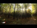 Подих осені 