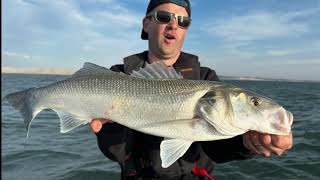 Je viens de BATTRE mon RECORD bar avec un shad.(Pêche en Mer du bar au leurre)avec AMINIAKK FISHING