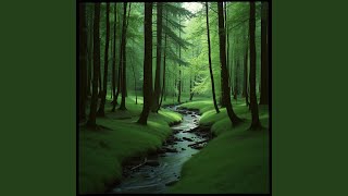 Calm Sanctuary