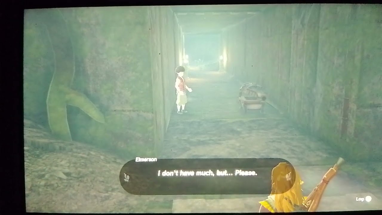 Legend of Zelda: Tears of the Kingdom - Help Rescue Elmerson NPC. Popla Foothills Skyview Tower