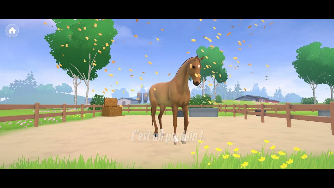 Nouvaux poulain mimi et parti et cours avec mistral