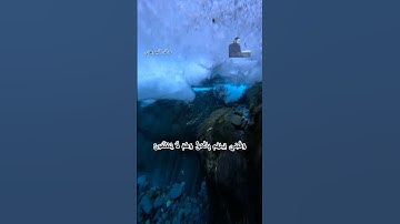 وأشرقت الأرض بنور ربها #islam #quran #viral #foryou #reels #قران_كريم #تلاوة_خاشعة #video #fyp