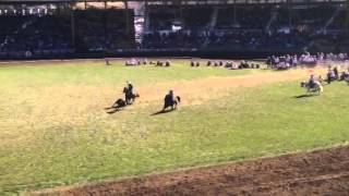 Pendleton Round-Up 2014 team roping