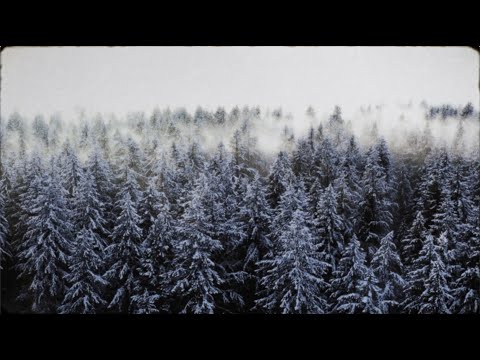 The WAEVE — Druantia (Official Visualiser)