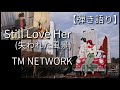 【Still Love Her】弾き語り「シティーハンター2」エンディング