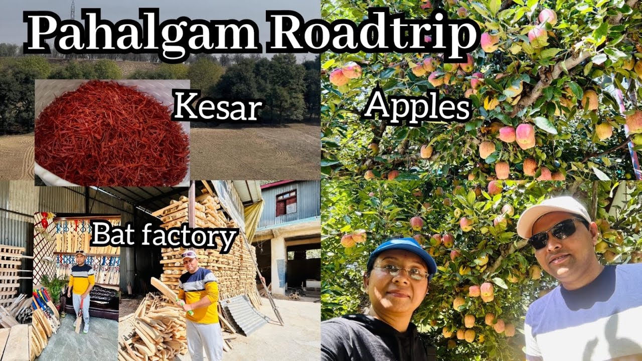 Gulmarg to Pahalgam Roadtrip - Kesar field, Apple Garden, Bat Factory | Kashmir series
