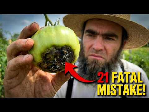 Stop Killing Your Tomatoes! 21 Fatal Mistakes You Need To Fix TODAY