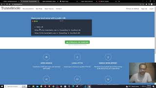 taking your LAN to WAN  using SSH tunneling , tunnelmole , localtunnel , ngrok or telebit