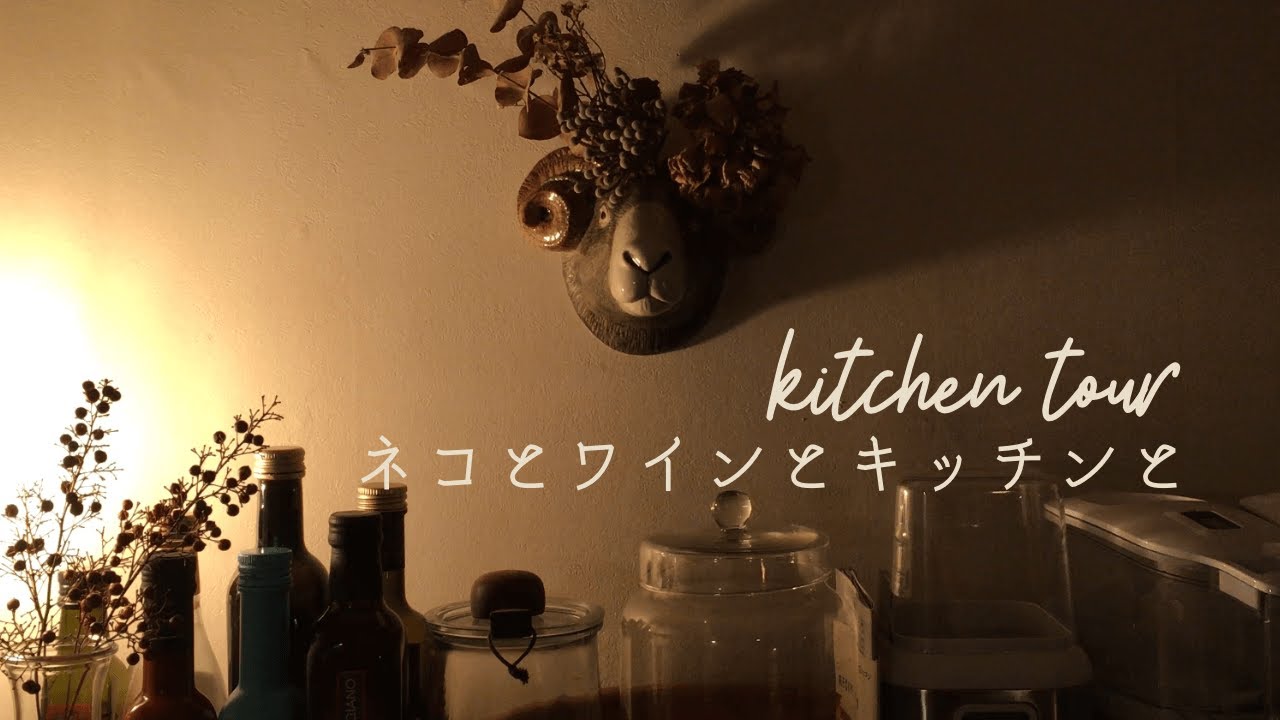 暮らしのvlog｜猫とワインとキッチンと｜キッチンツアー｜お誕生日でしたので　@今日のozy