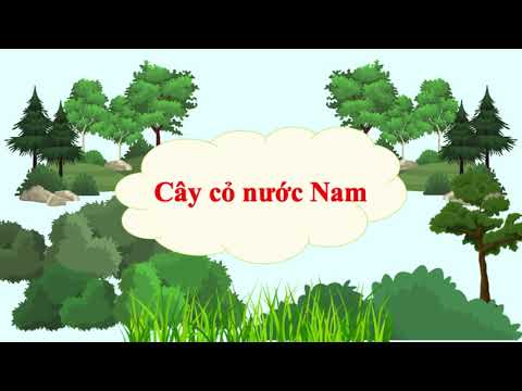 Video Kể chuyện 5: Cây cỏ nước Nam - YouTube