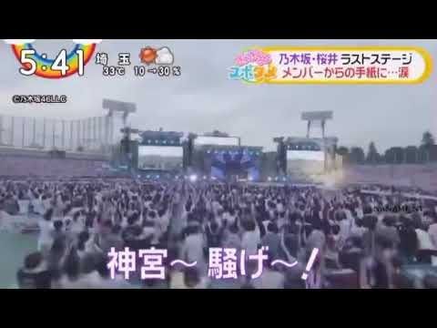 【鳥肌】まいやんの煽りin明治神宮野球場