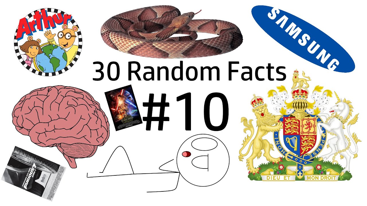 30 Random Facts #10 - YouTube