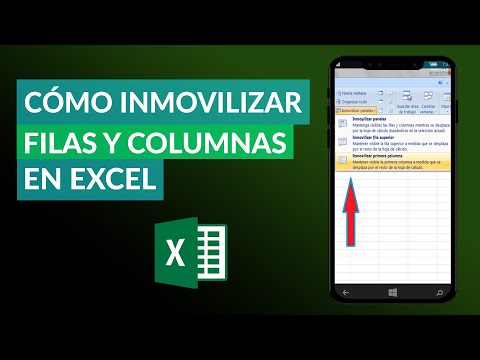 Cómo Inmovilizar Filas y Columnas en Excel - Inmovilizar Celdas