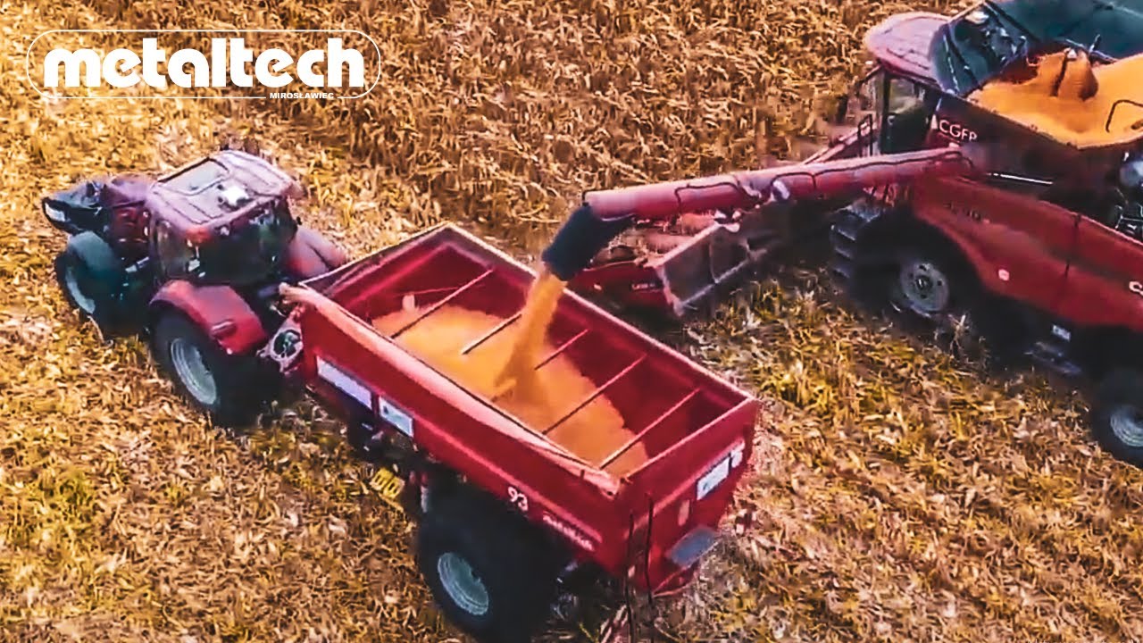 Wóz przeładowczy Metaltech PP 14 podczas żniw w CGFP