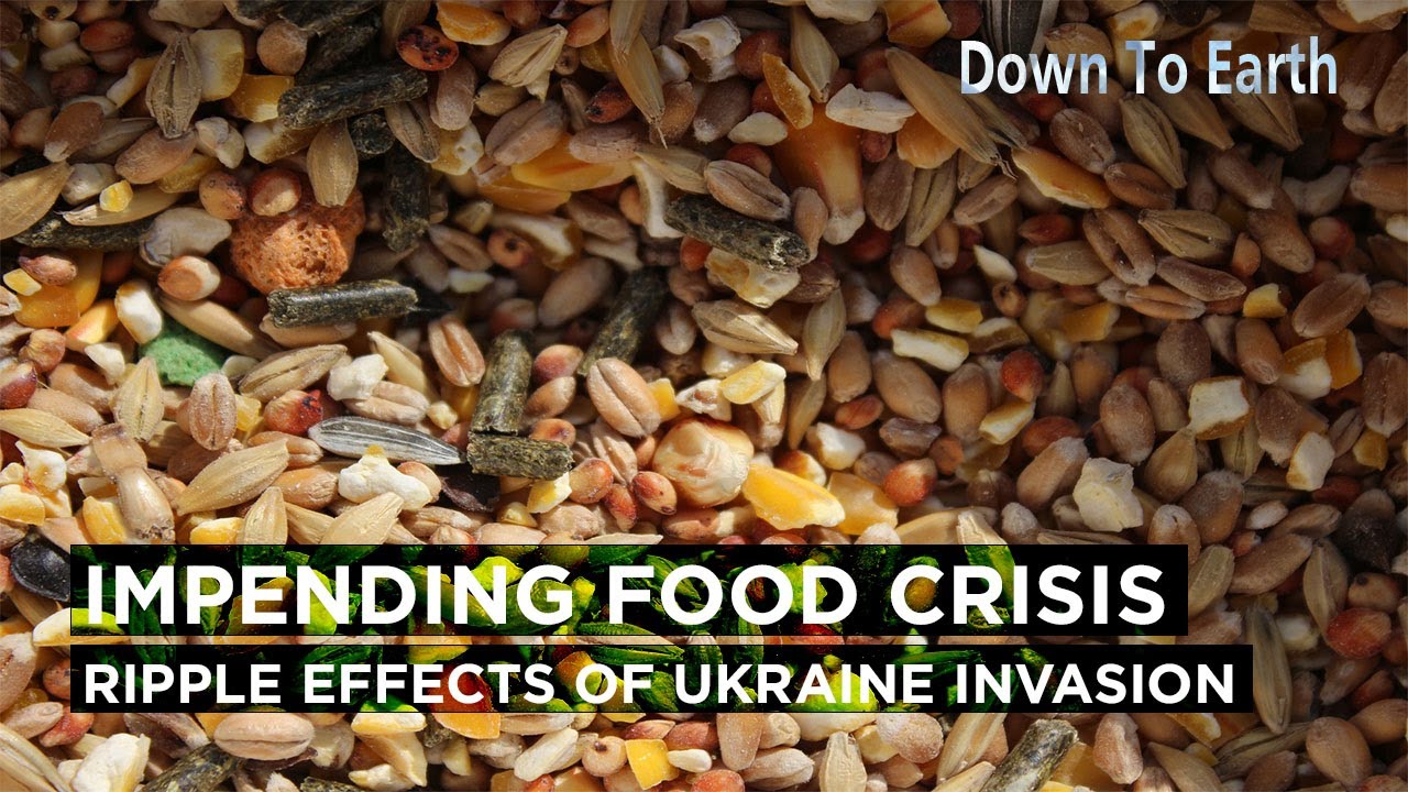 How does the Ukraine invasion lead to a world food crisis? - YouTube