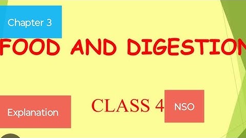 Class 4 NSO Science Olympiad |Chapter 3 Food and digestion| Science Olympiad | SOF #scienceolympiad