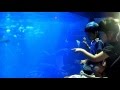 20160626まなみさん＆さとしくん　七尾市　のとじま水族館　ジンベエザメ館 青の世界